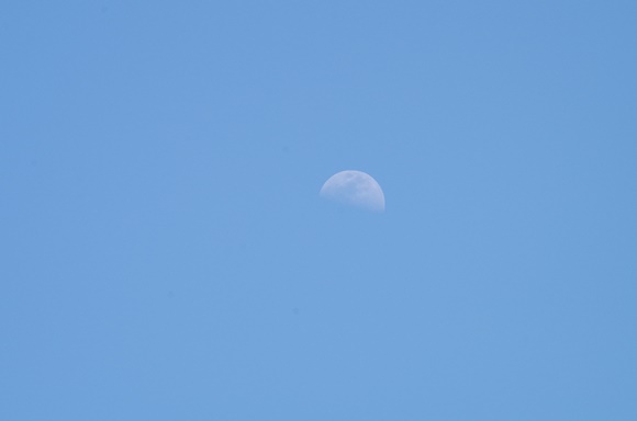 moon201501